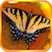 Zoo JigSaw